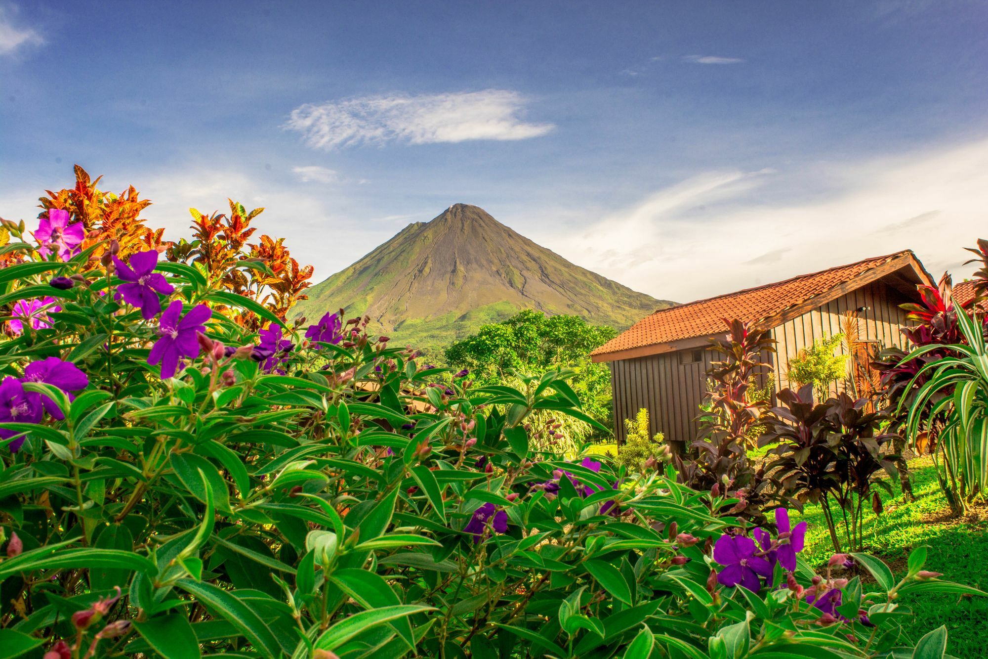 HOTEL ARENAL BUNGALOWS LA FORTUNA 2* (Costa Rica) - from C$ 75 | iBOOKED